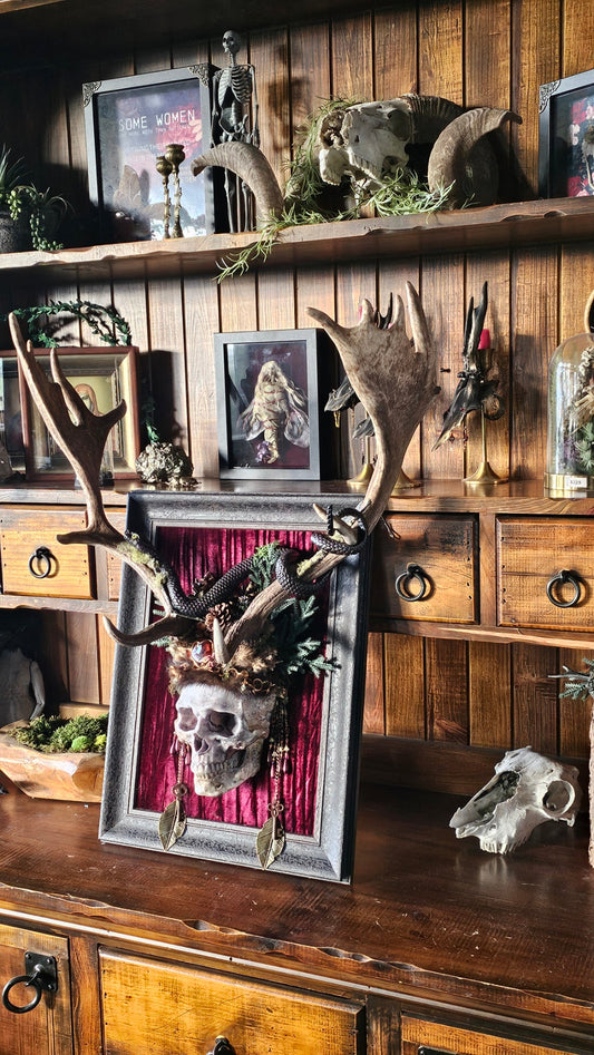 Why collect Art & Oddities?
