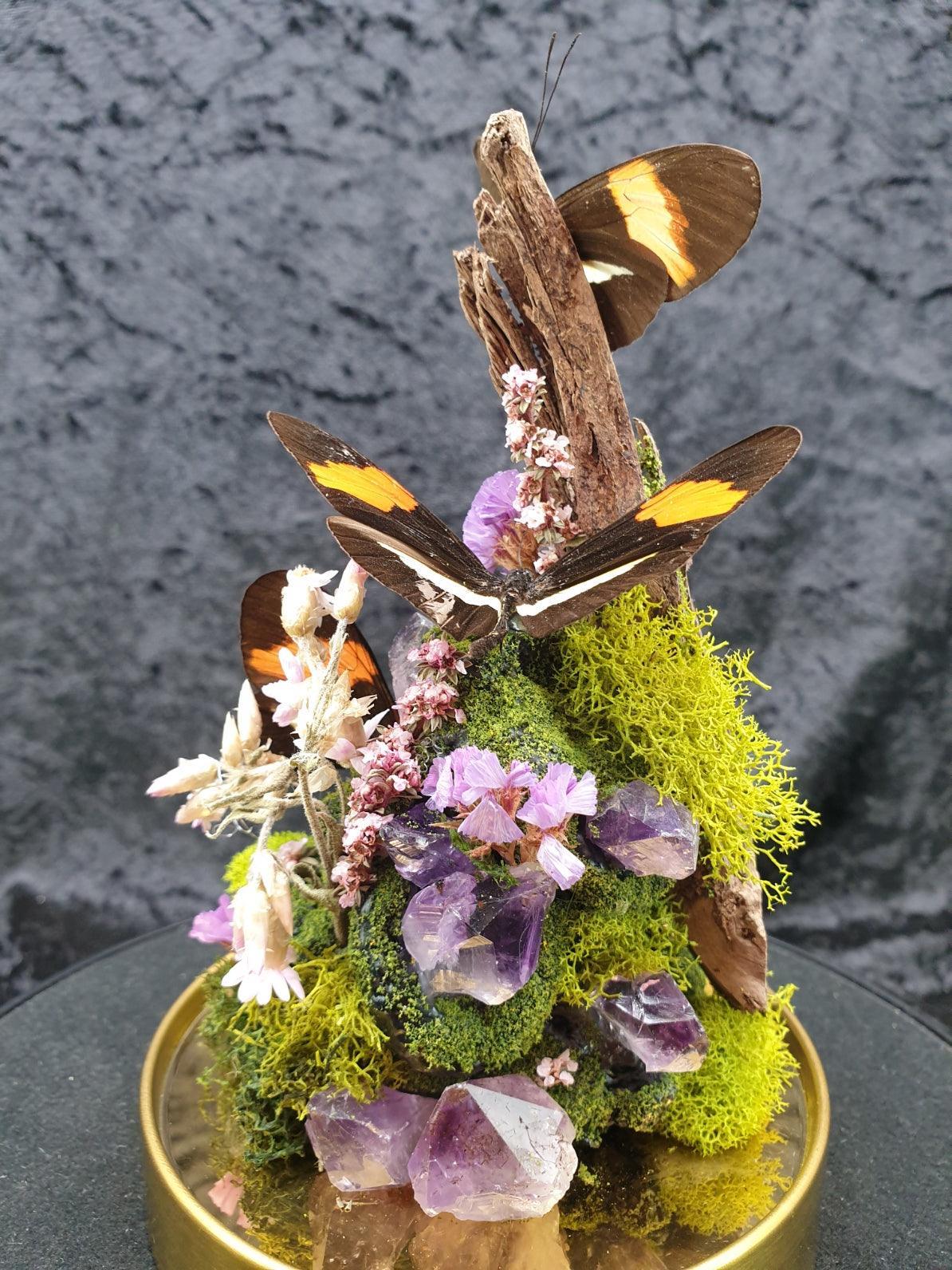 Butterfly terrarium - medium glass dome (19cm) - That Creative Feeling