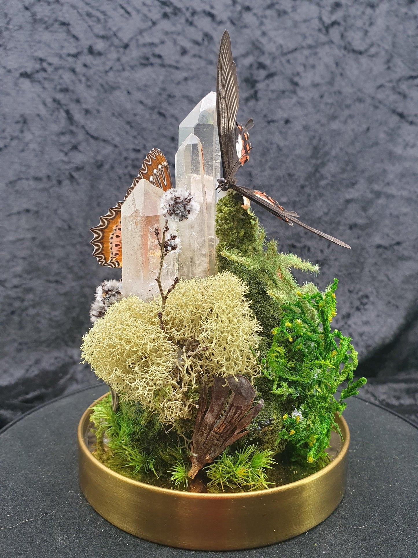 Butterfly terrarium - medium glass dome (19cm) - That Creative Feeling