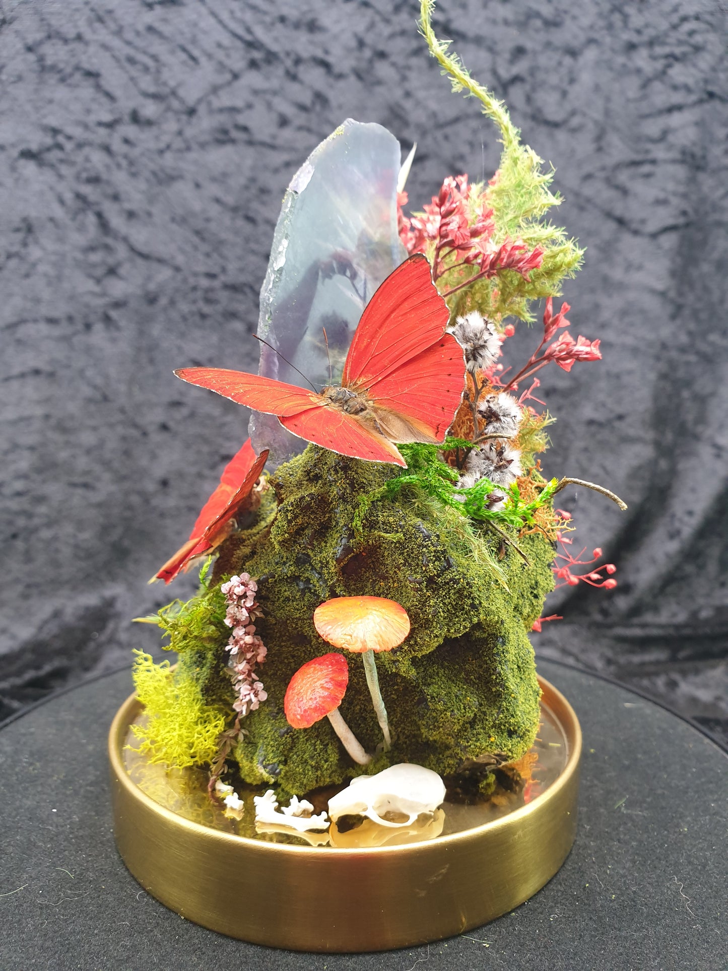 Glass dome - Butterflies, crystals and preserved moss terrarium (19cm)