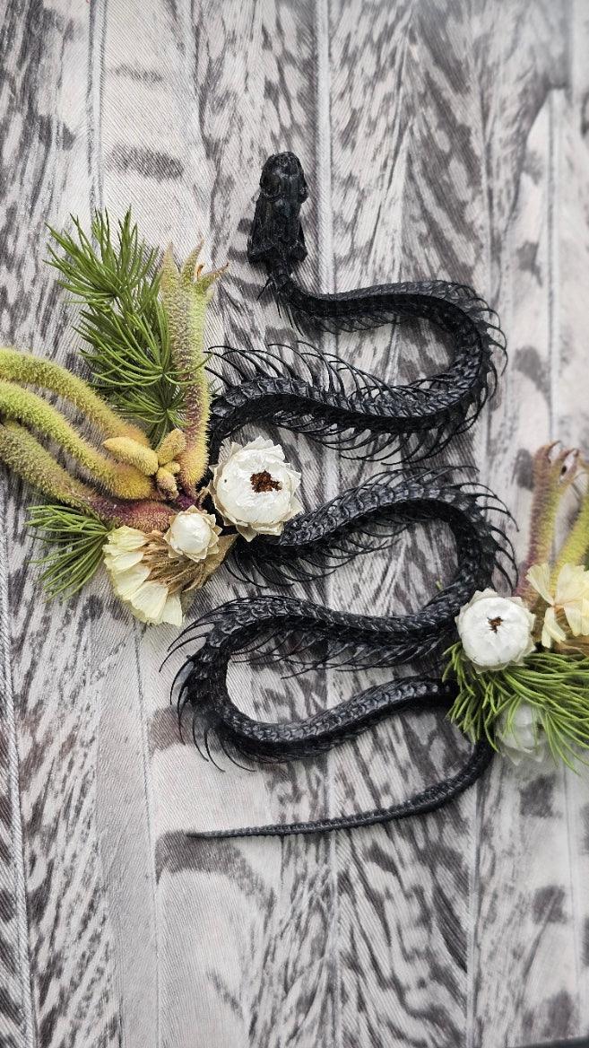 Taxidermy - Snake skeleton in the garden - framed - That Creative Feeling