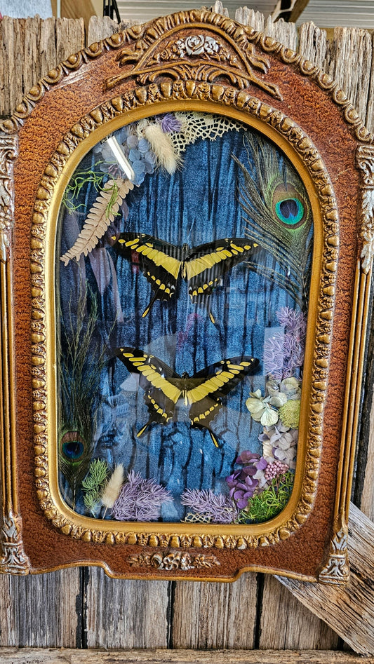 Vintage Victorian Gothic bubble frame with King Swallowtails