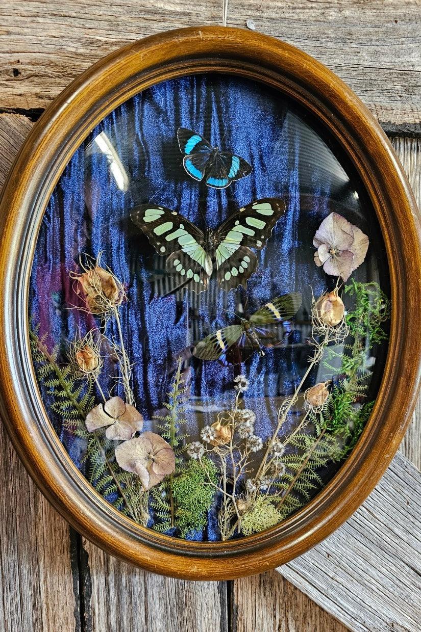 Frame vintage - Victorian Gothic bubble frame with trio of butterflies - That Creative Feeling