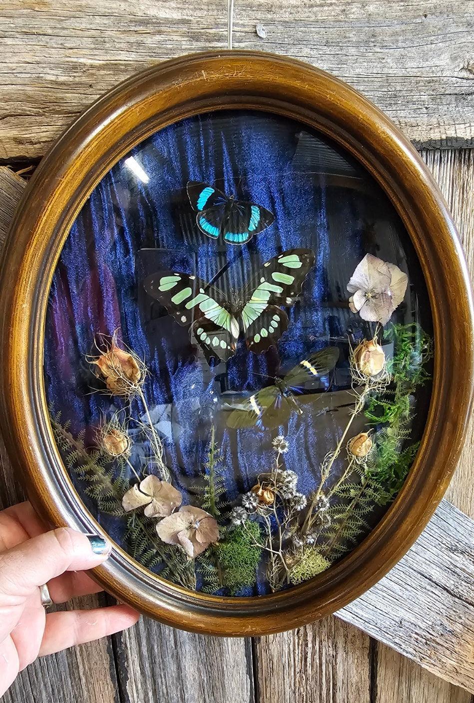 Frame vintage - Victorian Gothic bubble frame with trio of butterflies - That Creative Feeling