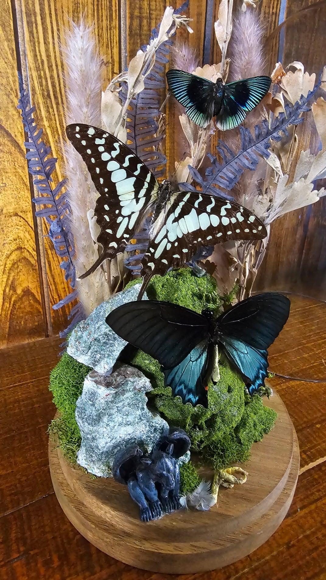 Butterfly terrarium - large glass dome (26cm) - That Creative Feeling