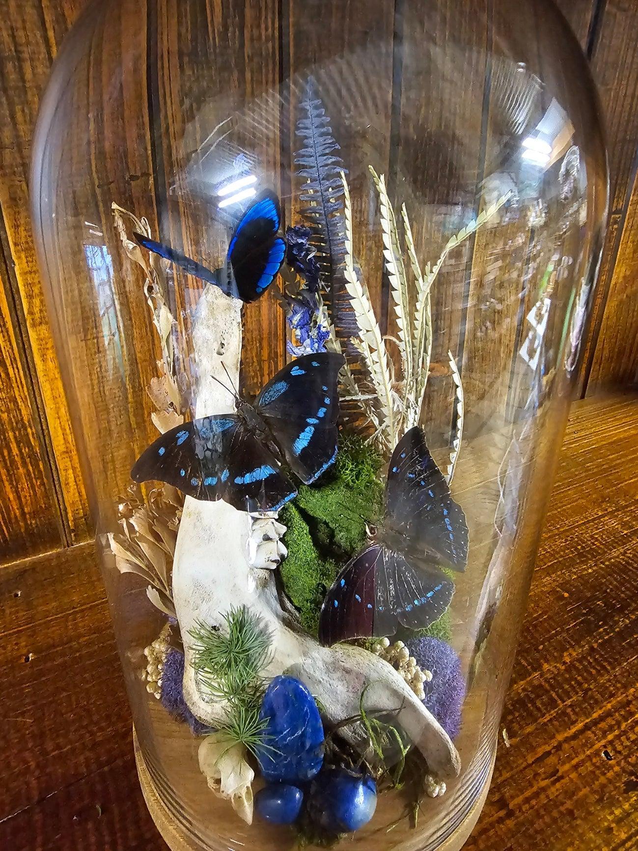 Butterfly terrarium - large glass dome (26cm) - That Creative Feeling