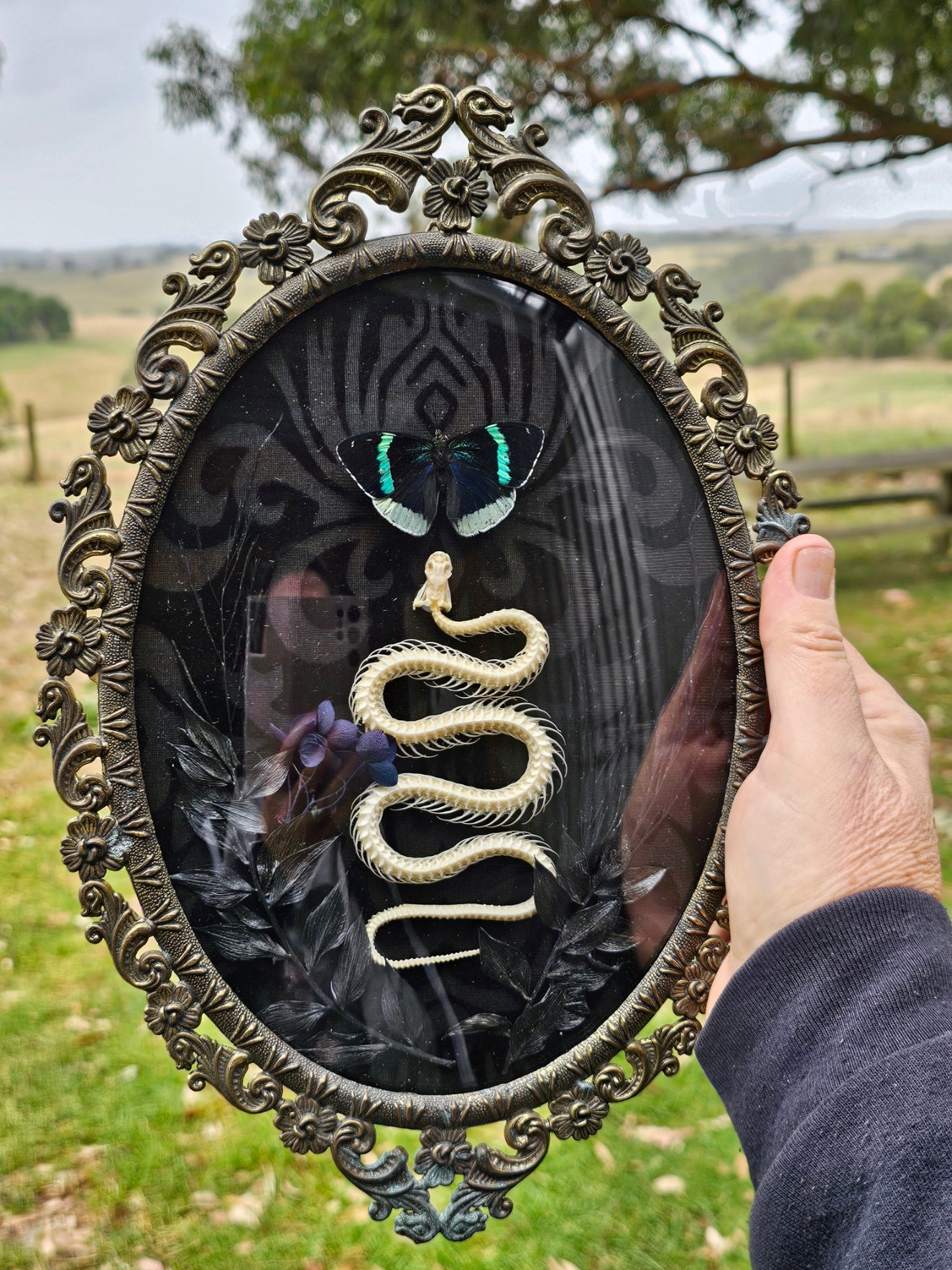 Snake skeleton in Brass Vintage bubble frame