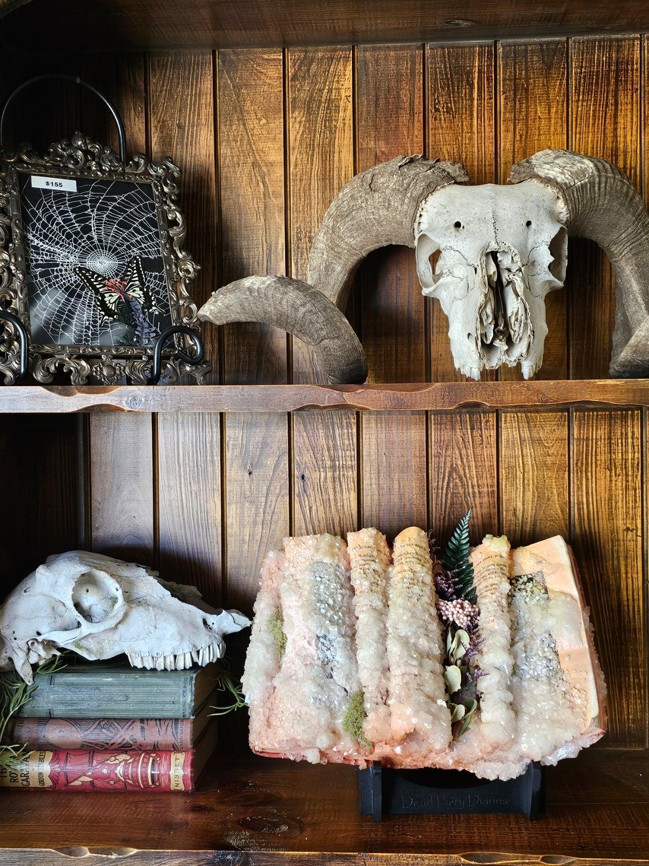 Dead Fairy Diaries - crystalized rare vintage books - That Creative Feeling
