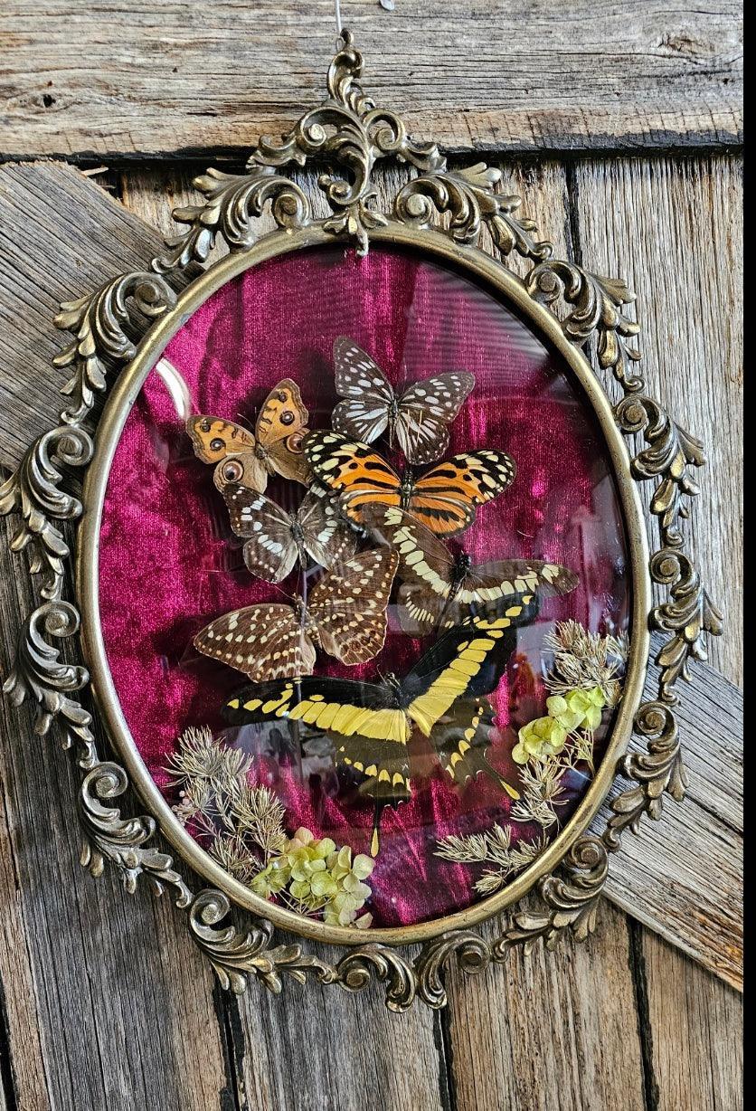 Frame vintage - Brass Italian Gothic bubble frame with butterflies - That Creative Feeling