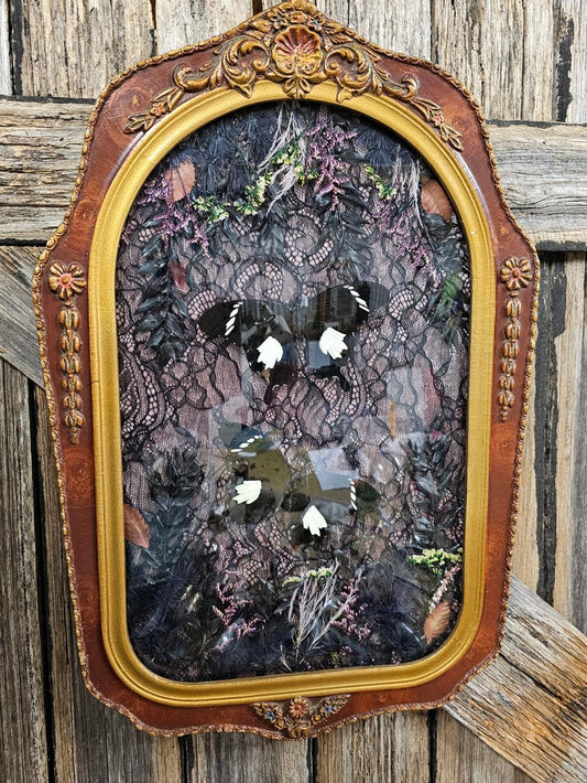 Frame vintage - 1920s Victorian Gothic bubble frame with Black & White Helen butterflies - That Creative Feeling