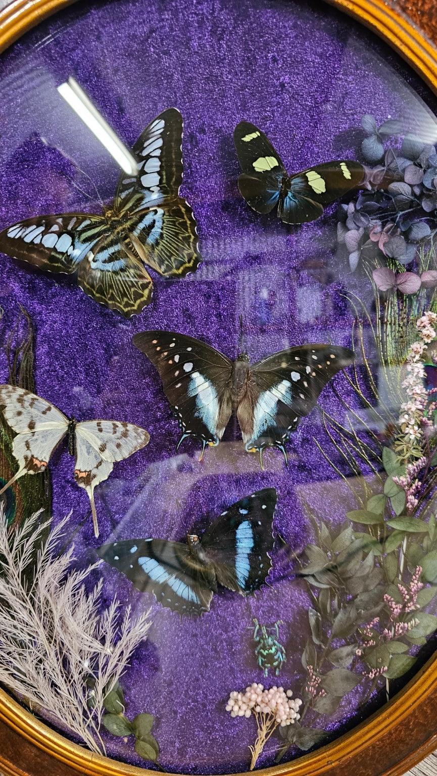 Frame vintage - Victorian Gothic bubble frame with butterflies & dried flowers - That Creative Feeling