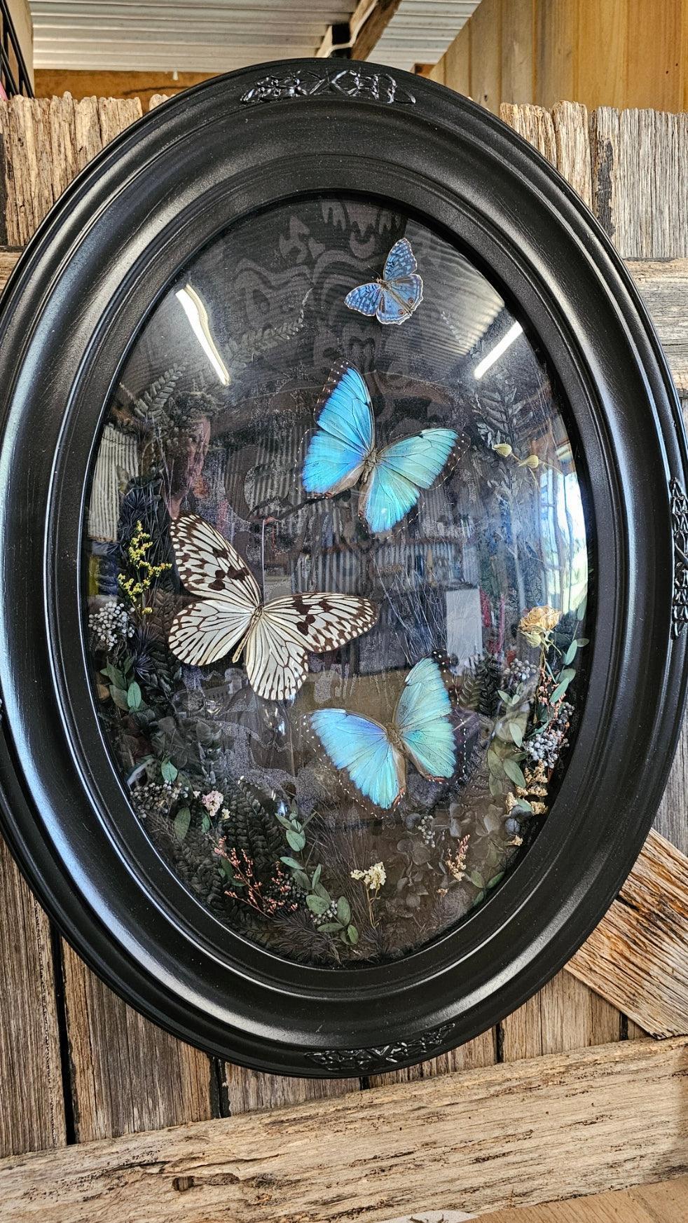 Frame vintage - Victorian Gothic bubble frame with Blue Morpho butterflies - That Creative Feeling