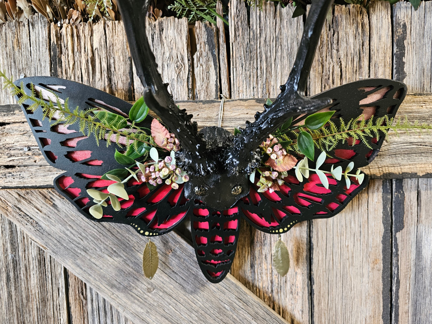 Antler art laser - Roe deer on Death-head moth frame