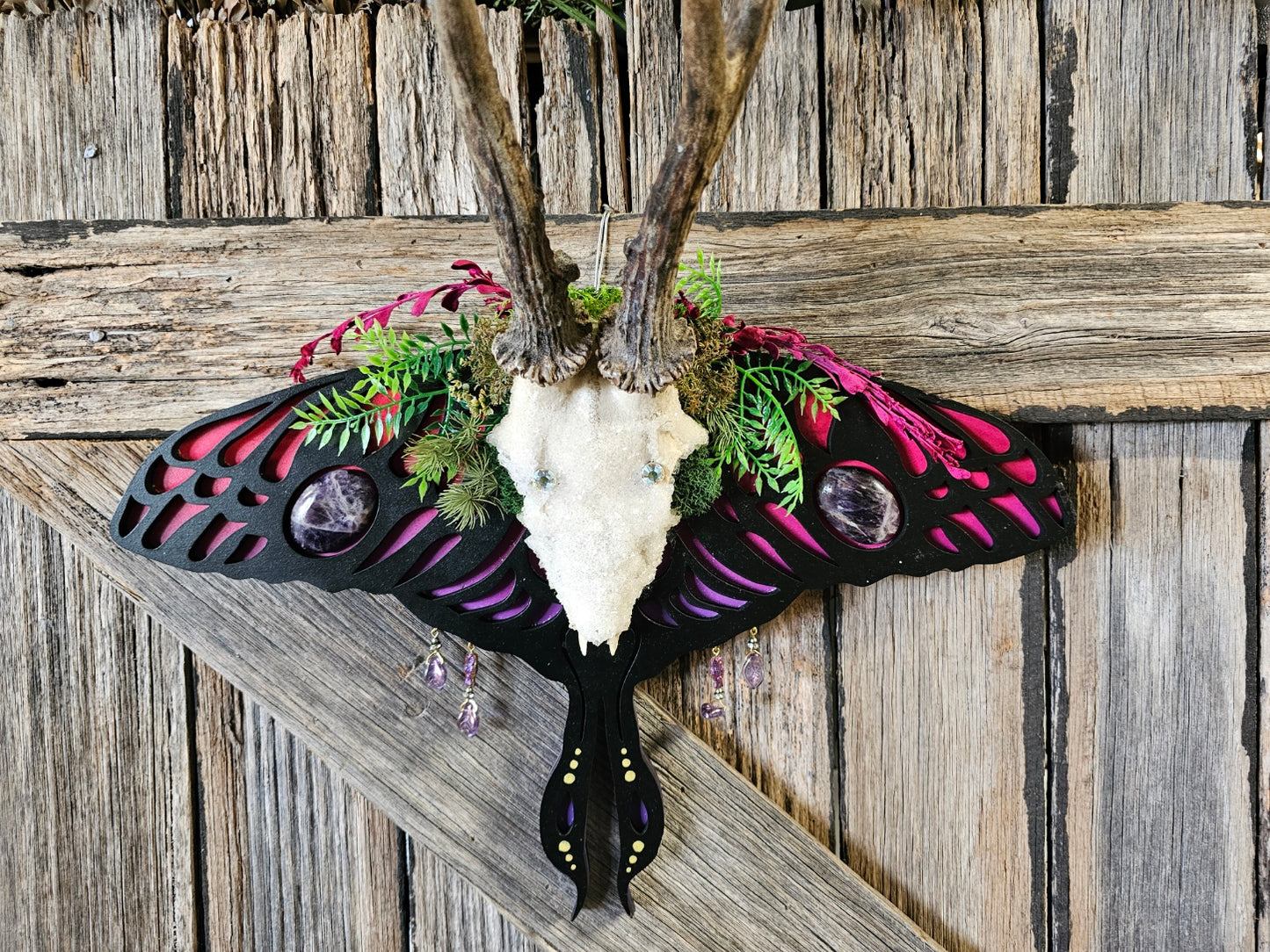 Antler art laser- Roe deer on Lunar moth frame with gemstones
