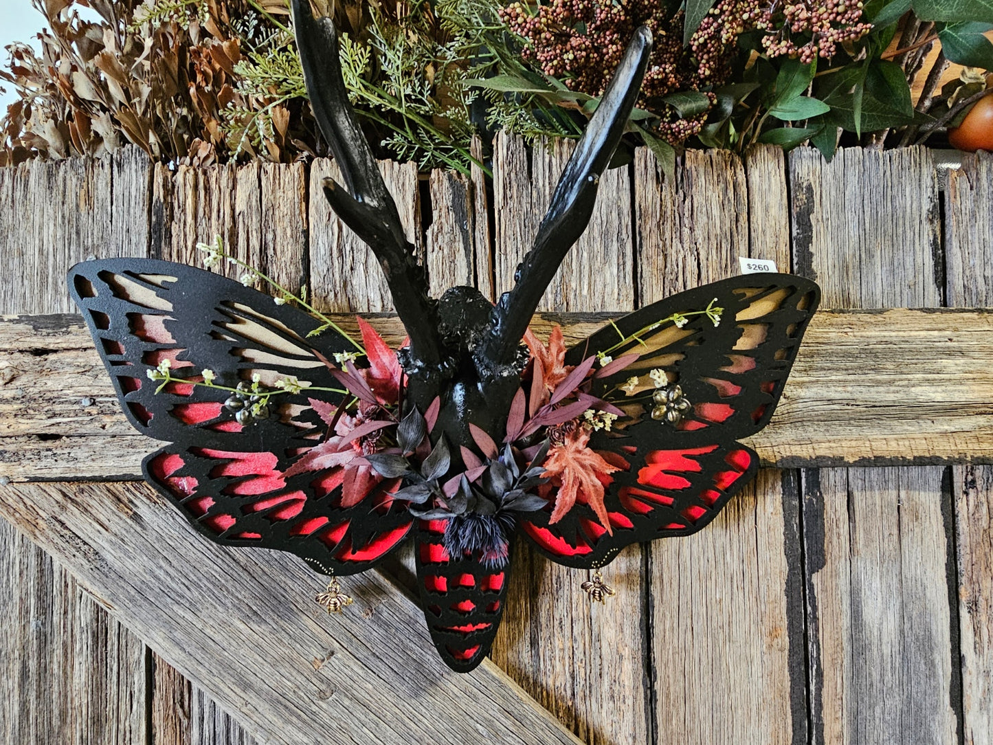 Antler art laser - Roe deer on Death-head moth frame