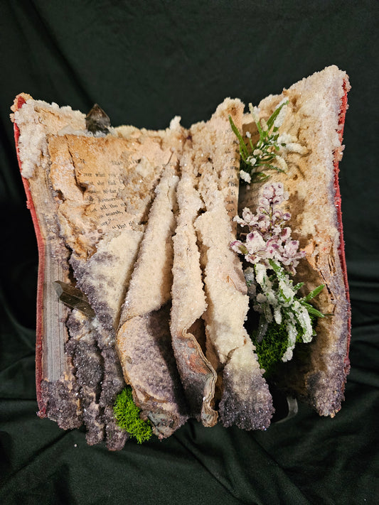 Bear Cavern (1924) - crystalized vintage book