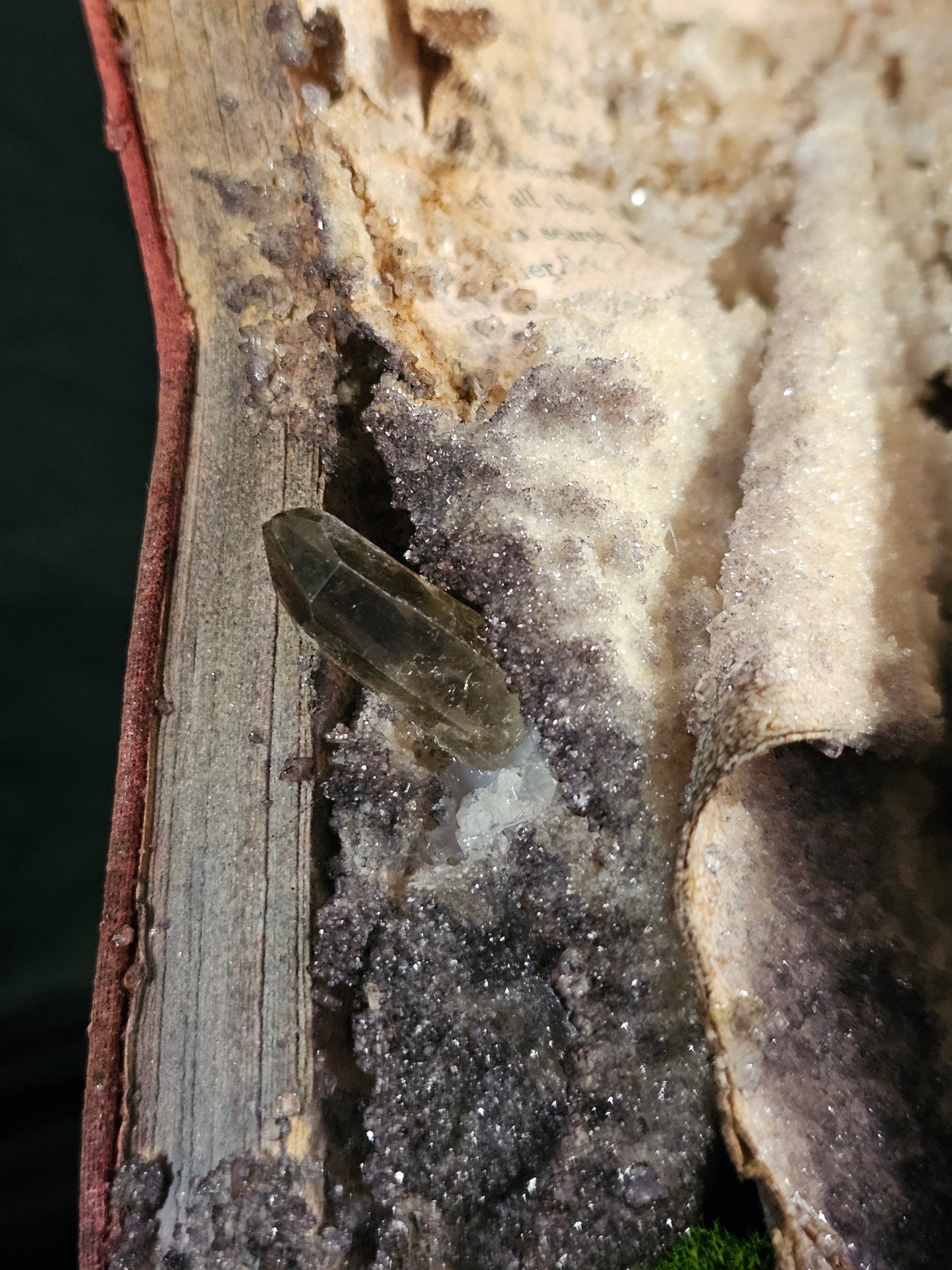 Bear Cavern (1924) - crystalized vintage book