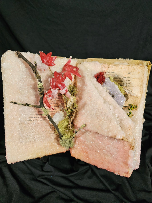 Aunt Sally (1925) - crystalized vintage book