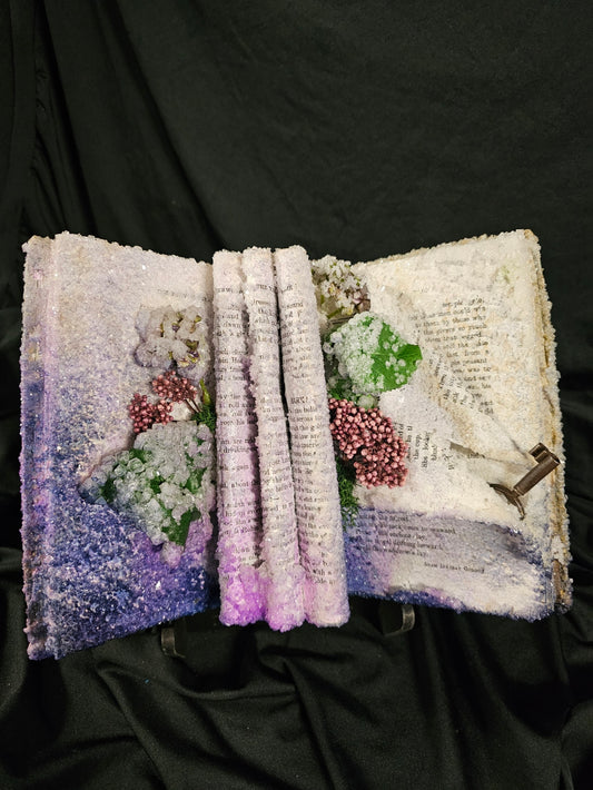 Victorian 5th Reader (1940s) - crystalized vintage book