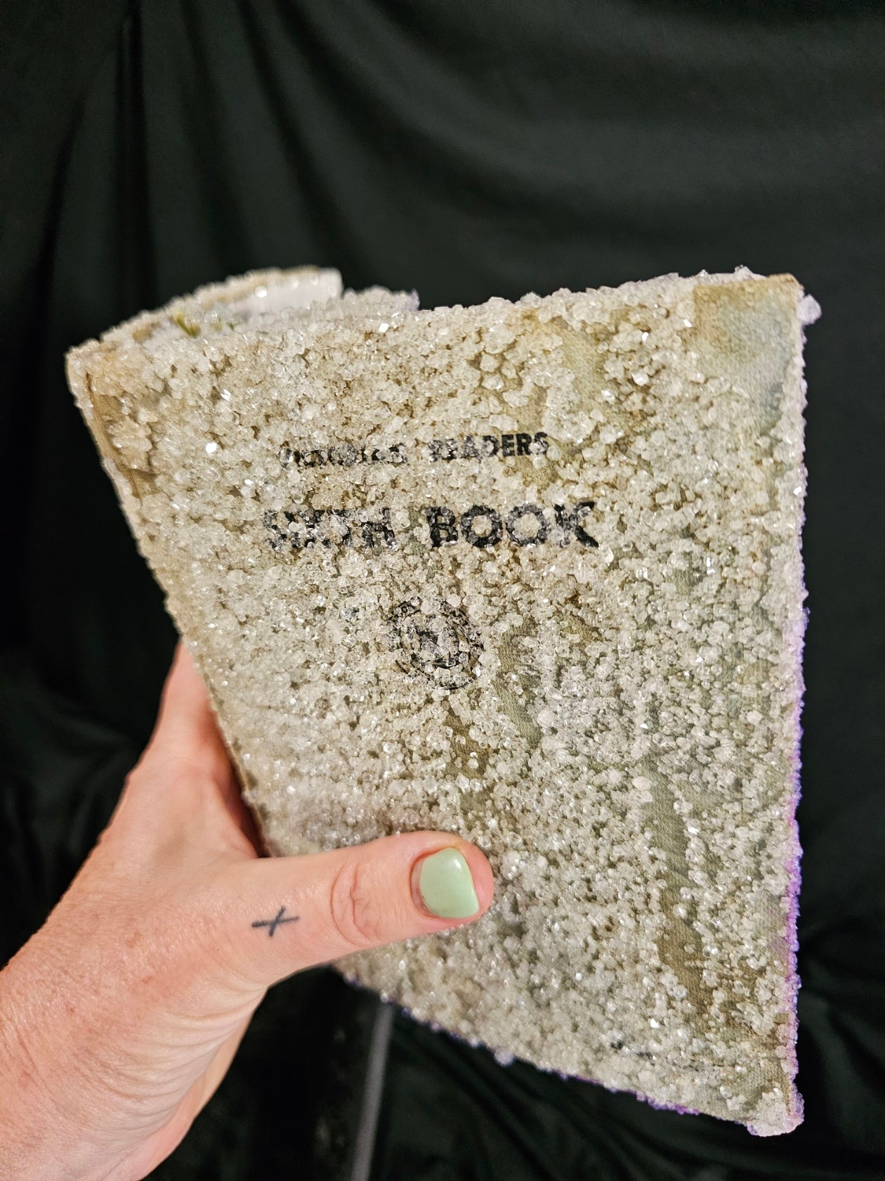 Victorian 5th Reader (1940s) - crystalized vintage book