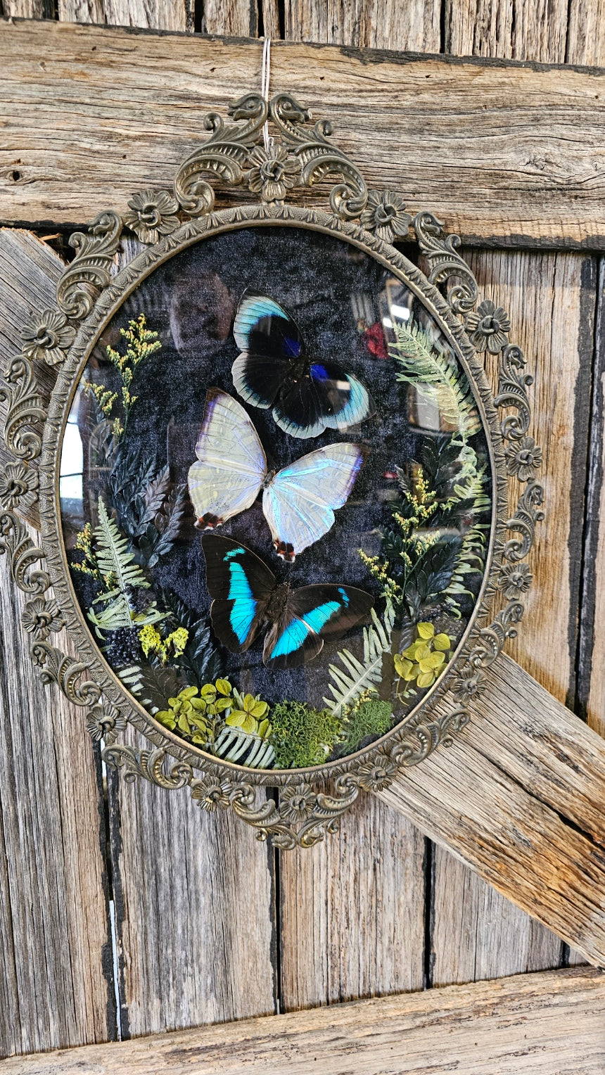 Frame vintage - Brass Italian Gothic bubble frame with Opal Morpho butterflies