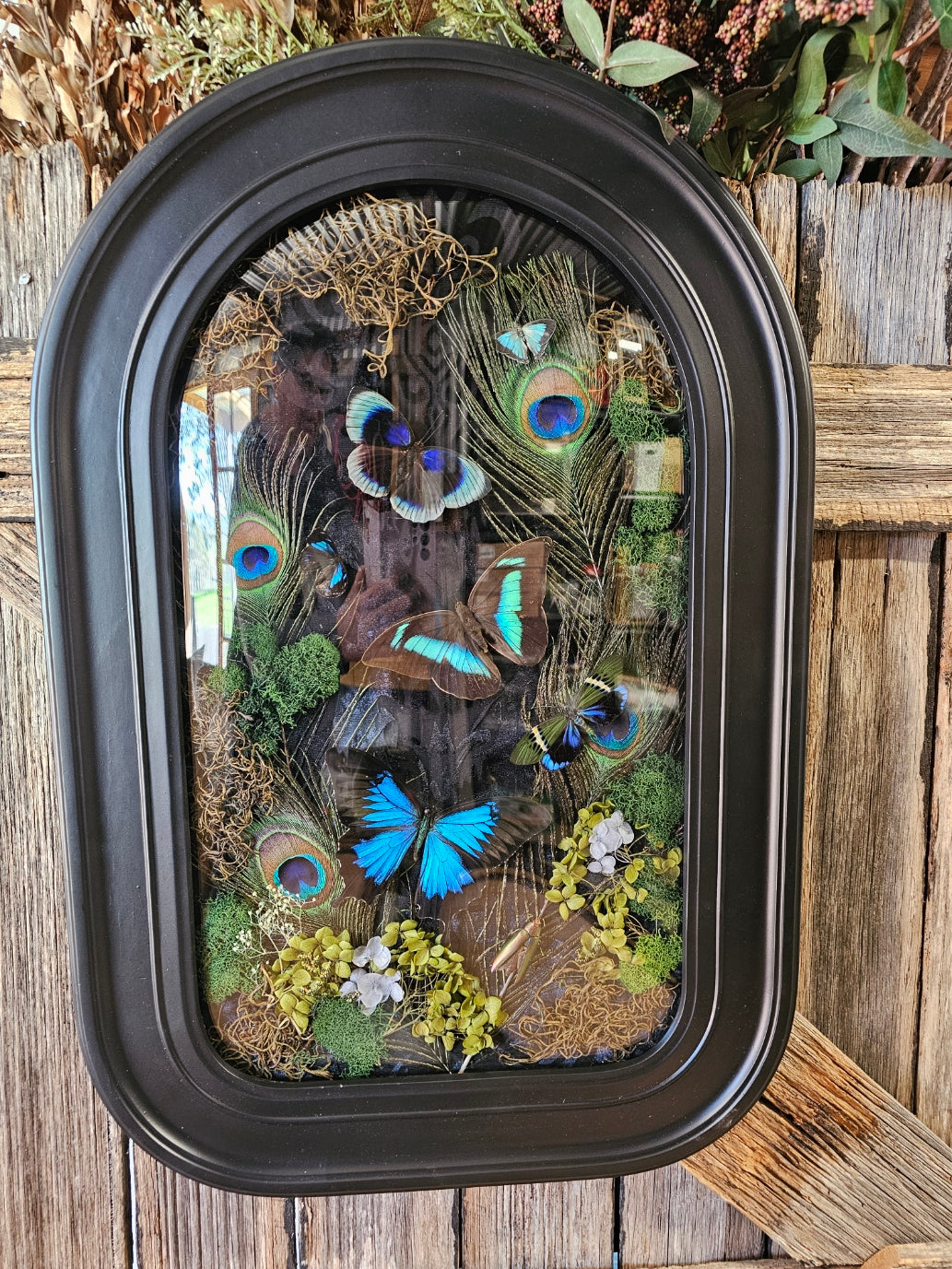 Frame vintage - Victorian Gothic bubble frame with Blue butterflies mix
