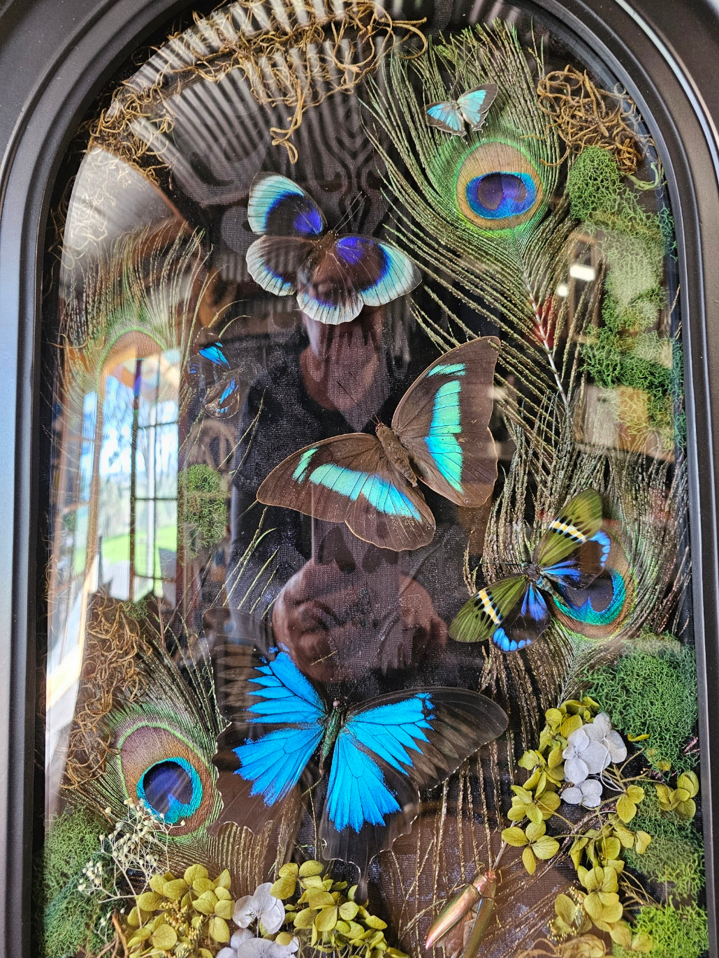 Frame vintage - Victorian Gothic bubble frame with Blue butterflies mix