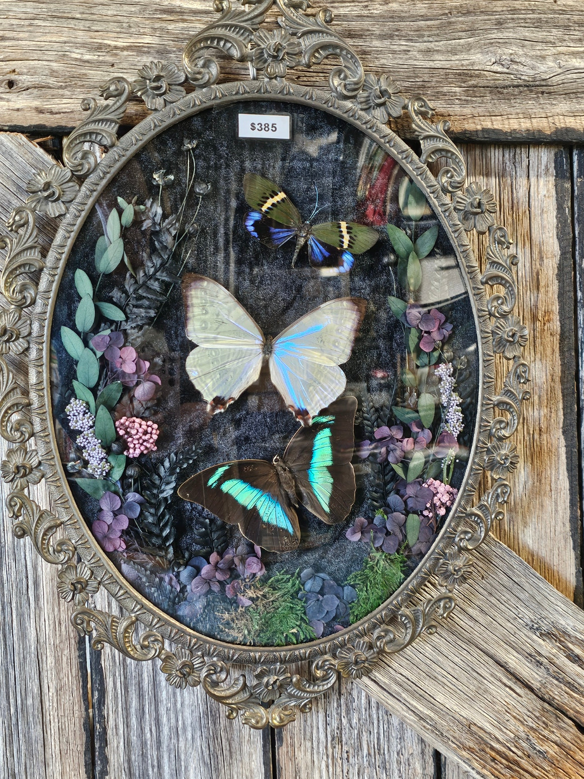 Frame vintage - Brass Italian Gothic bubble frame with butterflies