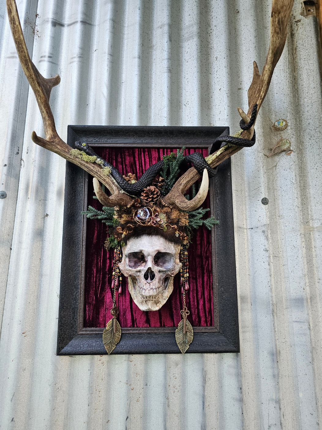 Deer antlers - Fallow deer with human skull and snake art