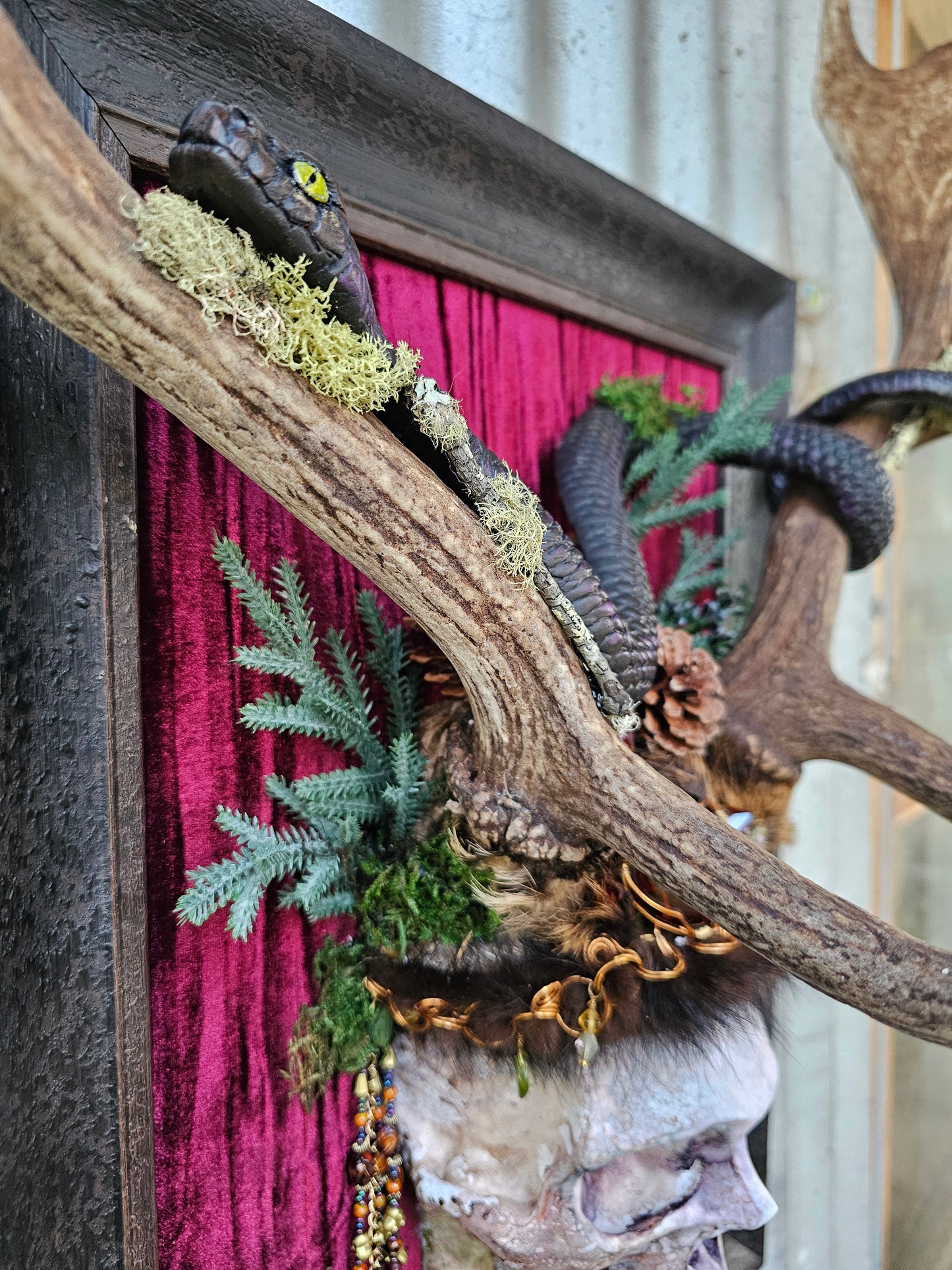 Deer antlers - Fallow deer with human skull and snake art