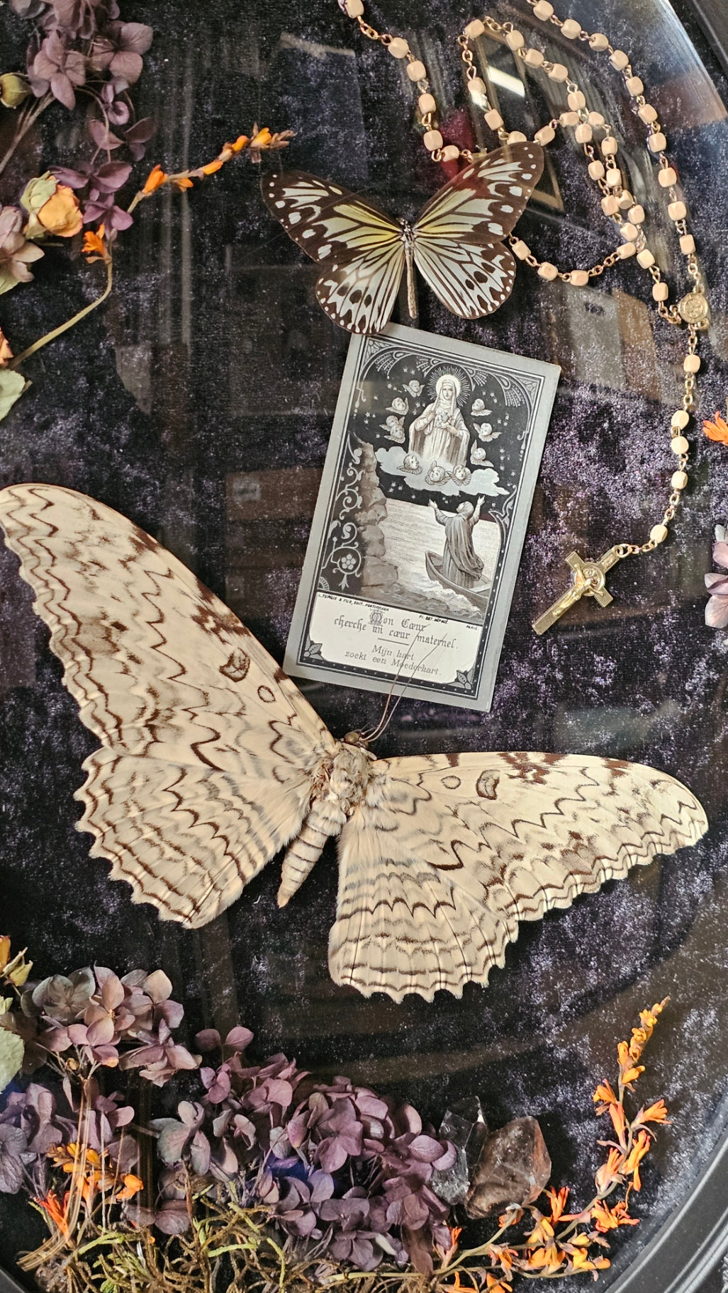 Frame vintage - Victorian Gothic bubble frame with White Witch Moth