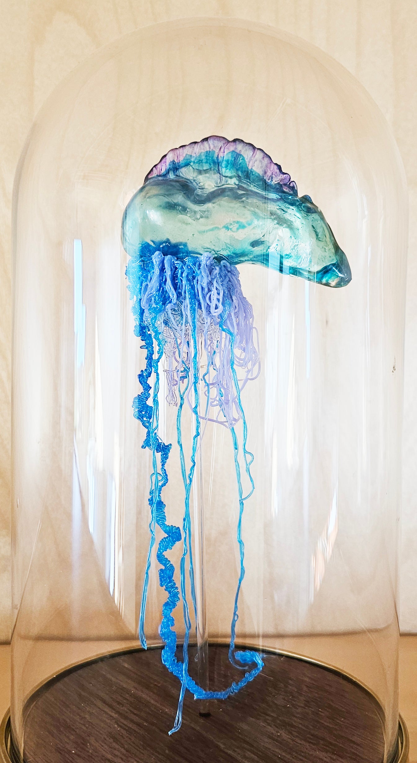COMING SOON - Blue Bottle jellyfish in glass dome