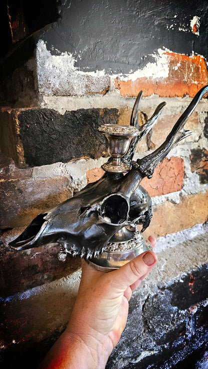 Roe deer skull on silver candle holder (25cm)