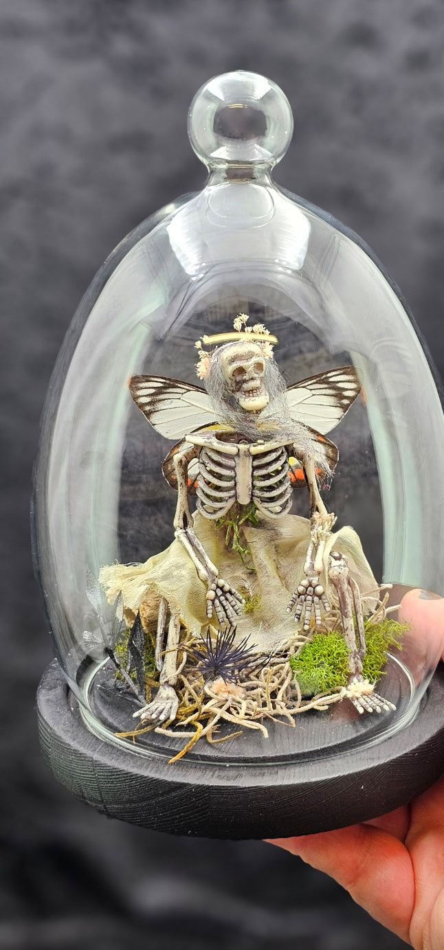 Dead Fairy Skeleton - with real butterfly wings in a glass dome