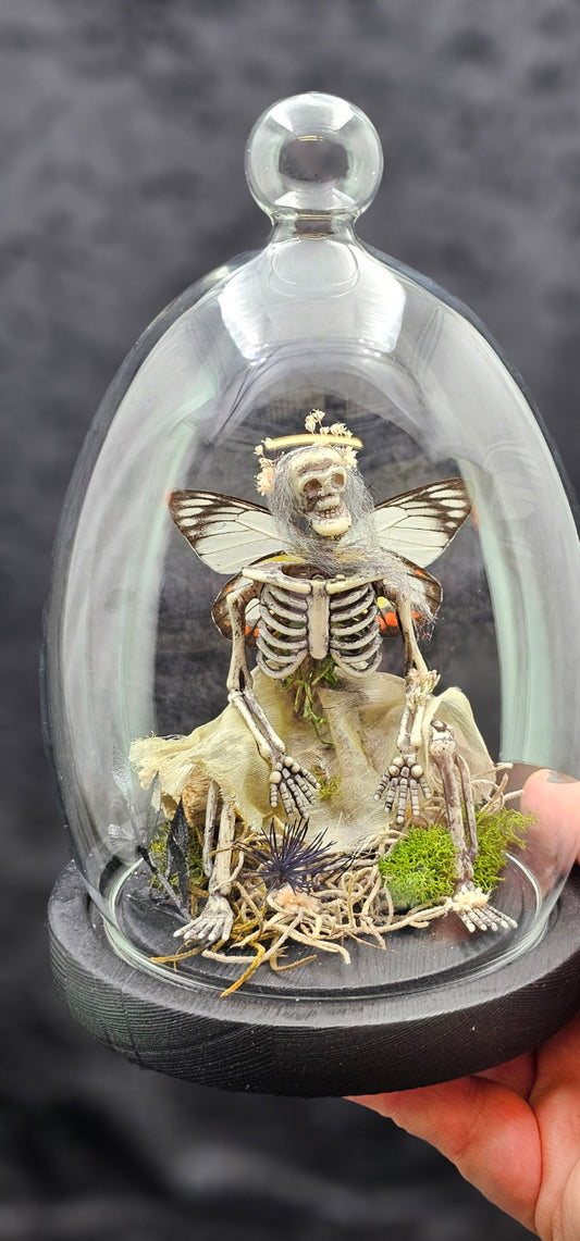 Dead Fairy Skeleton - with real butterfly wings in a glass dome