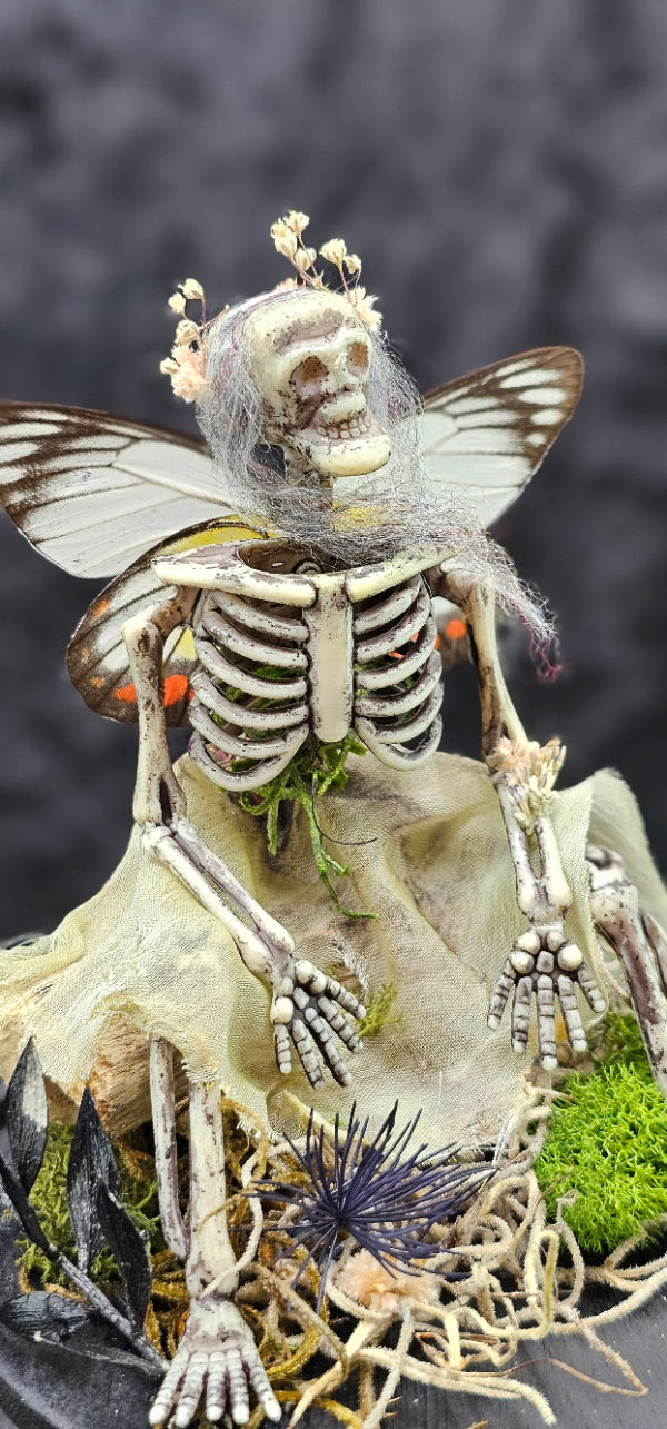 Dead Fairy Skeleton - with real butterfly wings in a glass dome