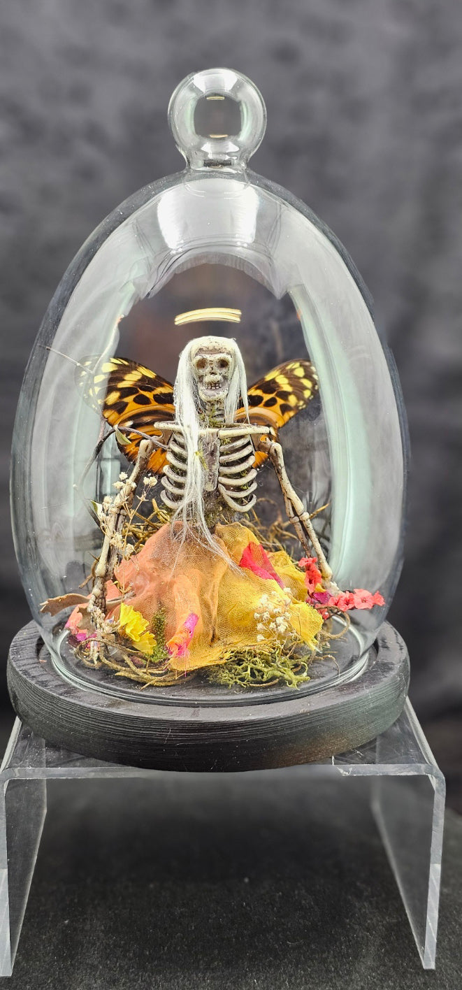 Dead Fairy Skeleton - with real butterfly wings in a glass dome