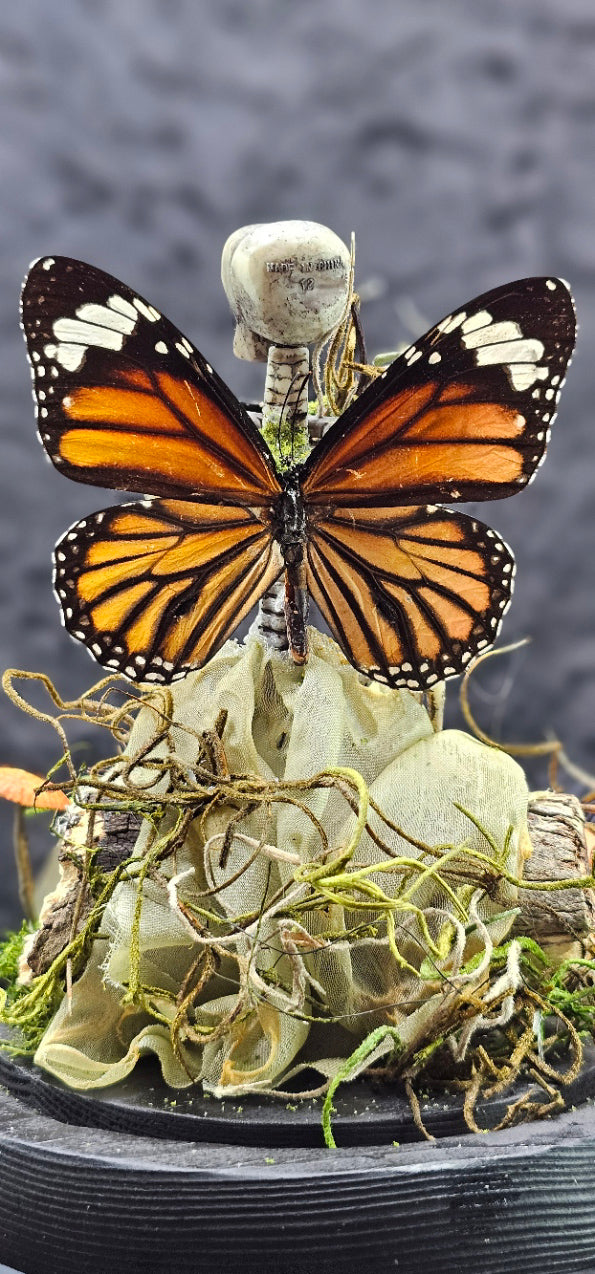 Dead Fairy Skeleton - with real butterfly wings in a glass dome