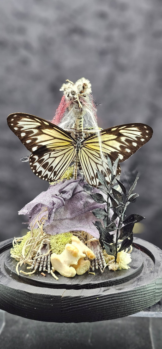 Dead Fairy Skeleton - with real butterfly wings in a glass dome