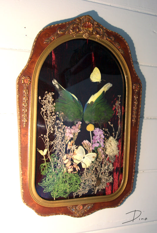 Vintage Victorian Gothic bubble frame with bird wings and butterflies - dried flowers and taxidermy