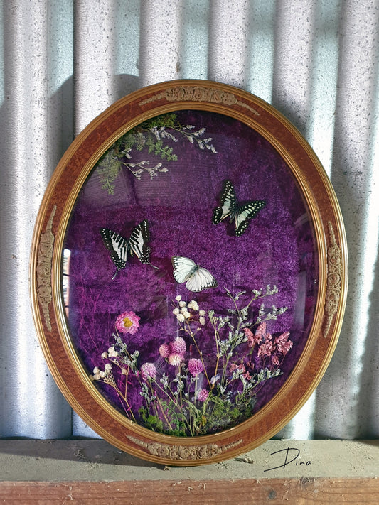 Vintage Victorian Gothic bubble frame with butterflies & dried flowers