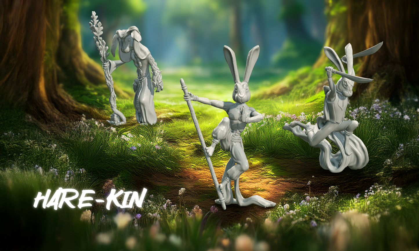 COMMISSION REQUEST for Hare-kin Druid model