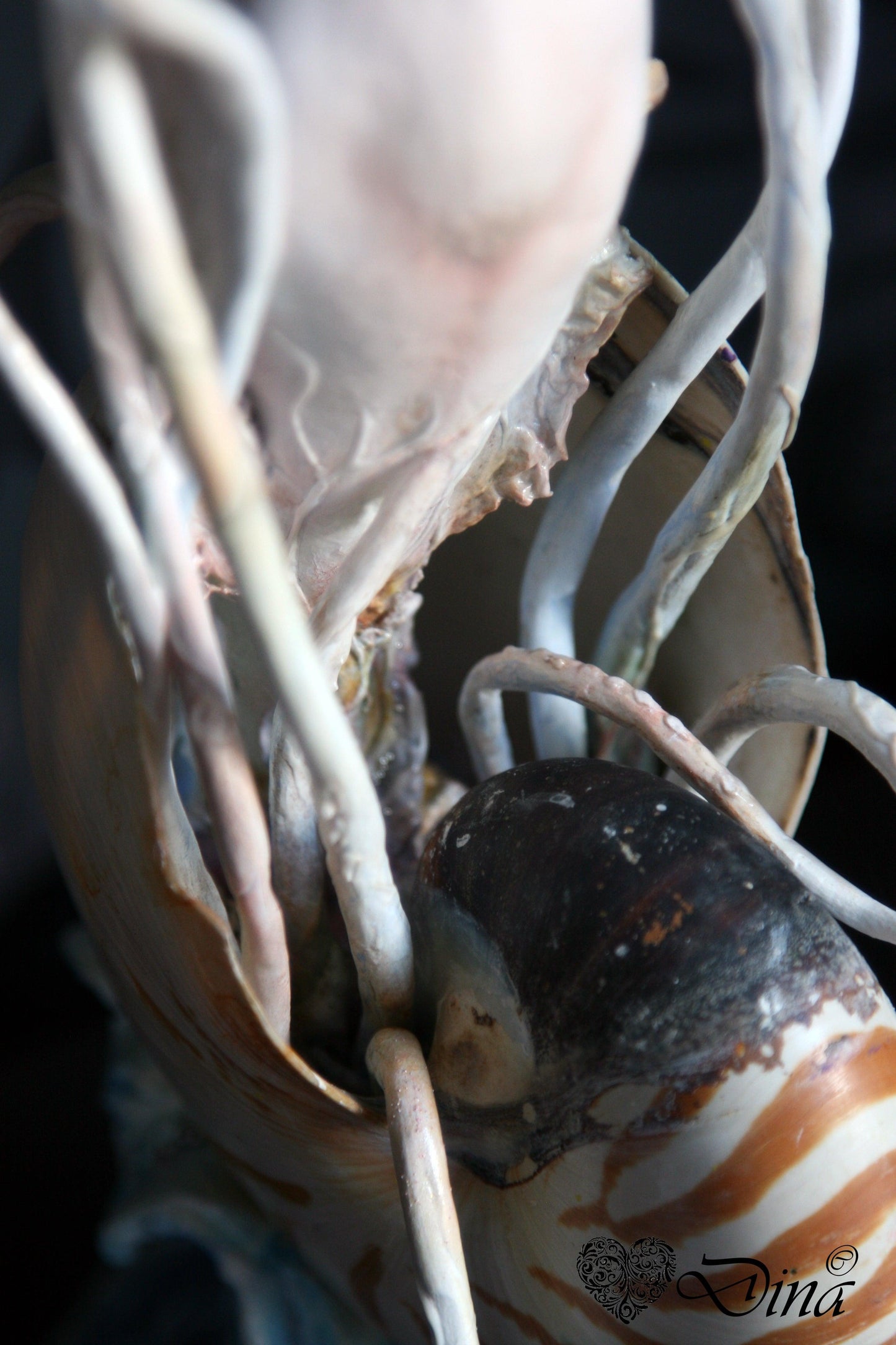 SOLD - 'Just living in a shell' – OOAK art doll by Dina - That Creative Feeling