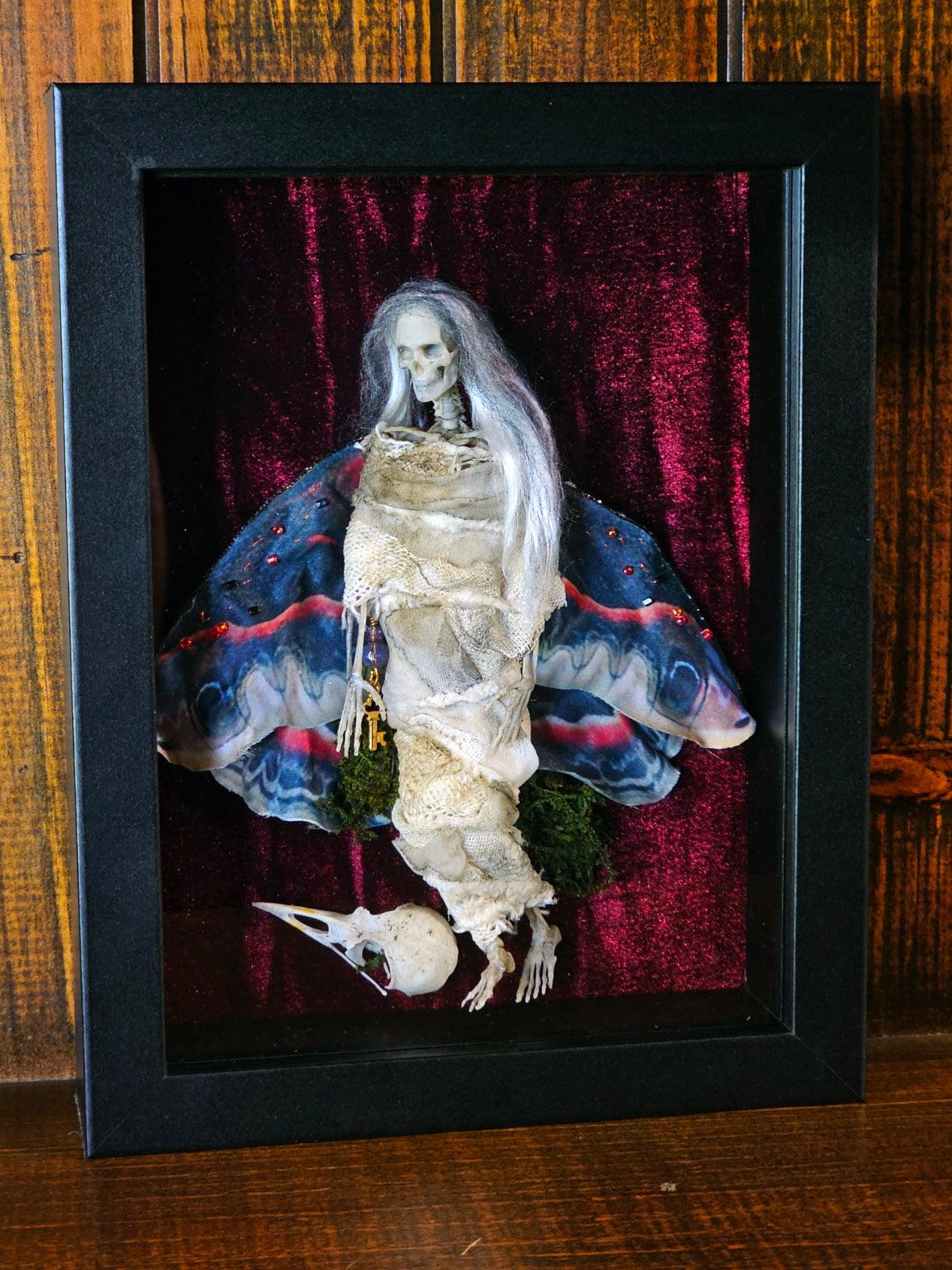 Dead Fairies - varieties of colors mummified in a black Gothic frame - That Creative Feeling