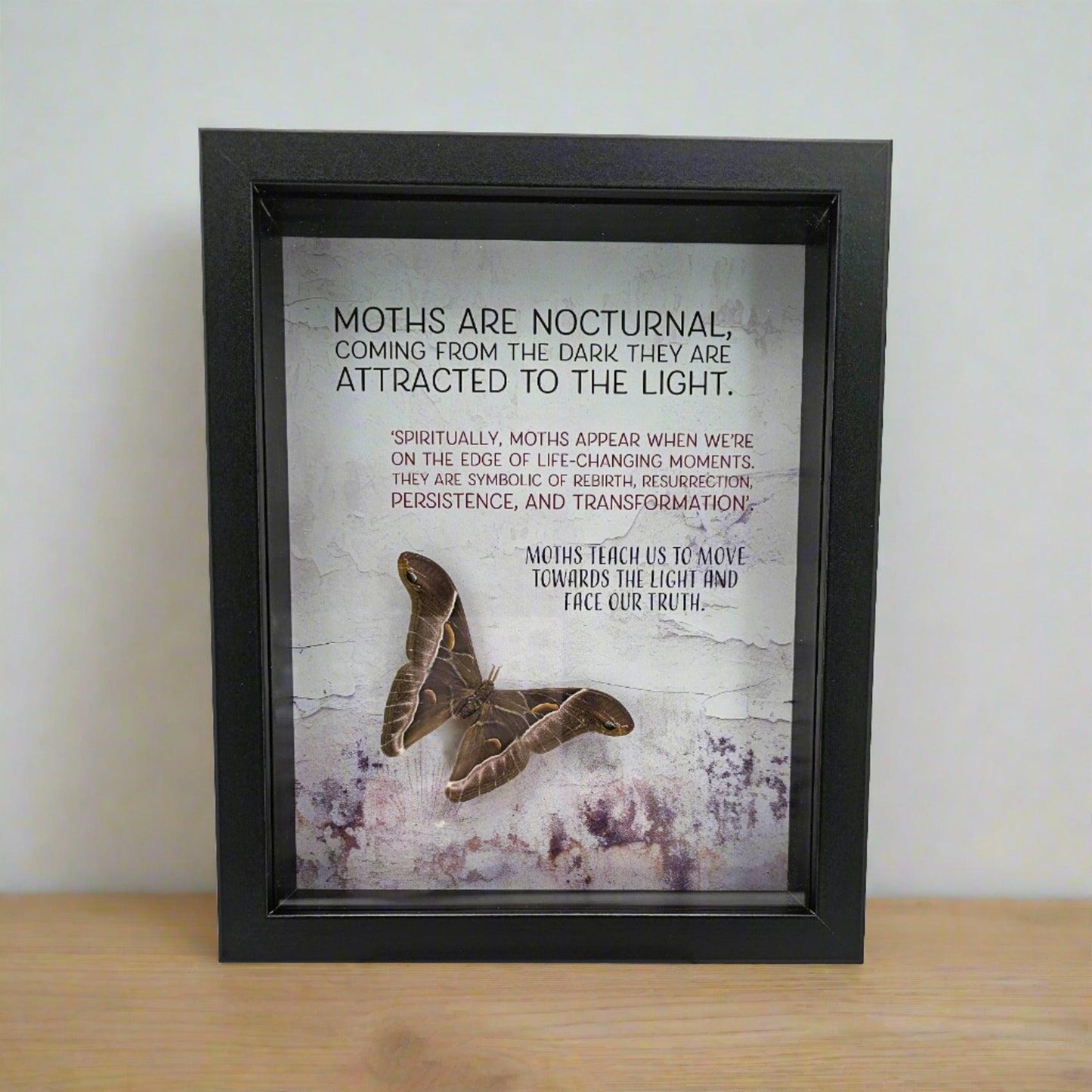 Frame - Spirit Moth - That Creative Feeling
