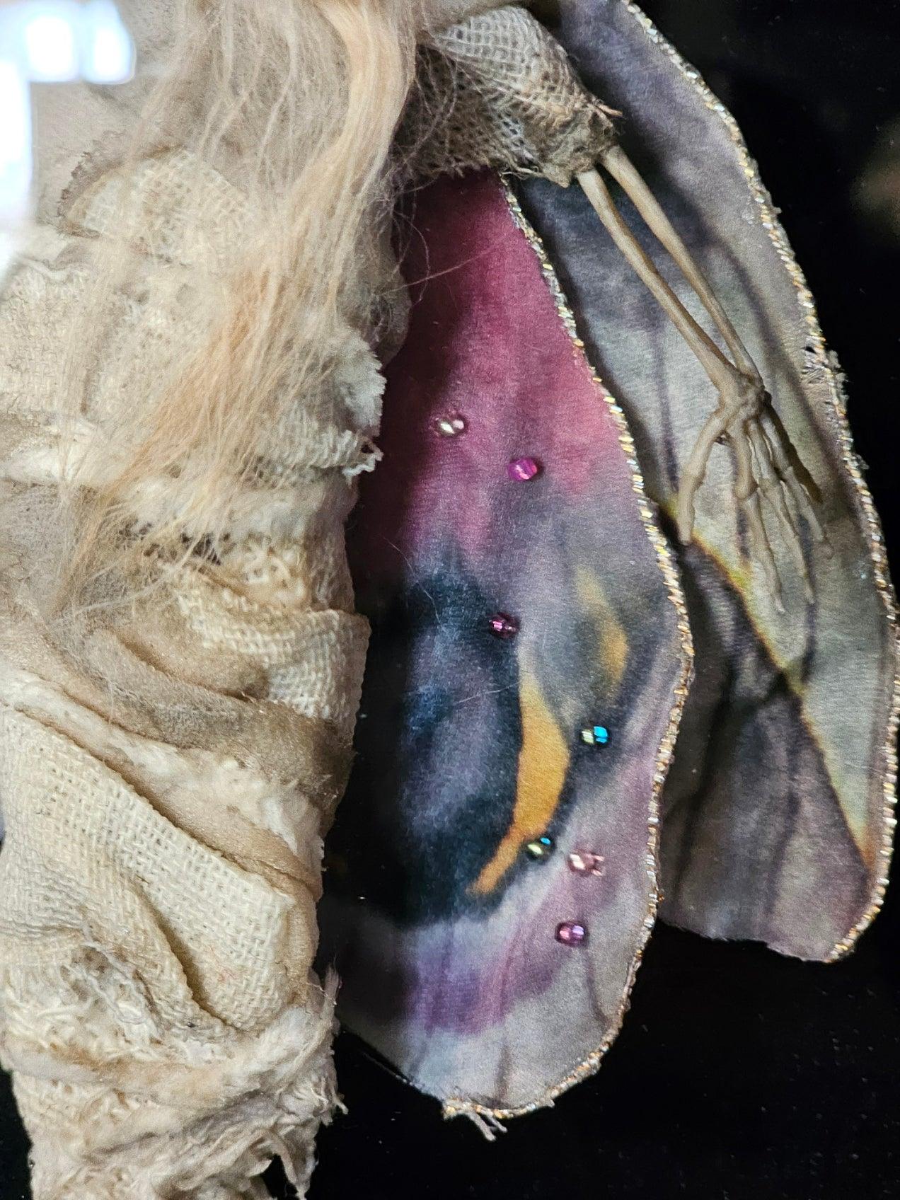 Dead Fairies - varieties of colors mummified in a black Gothic frame - That Creative Feeling