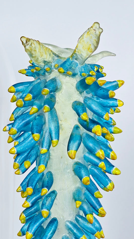 Irony Specimen: Nudibranch Berghia