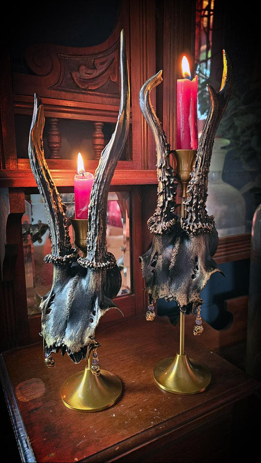 Candle holder - Roe deer antlers on brass candle stick - That Creative Feeling
