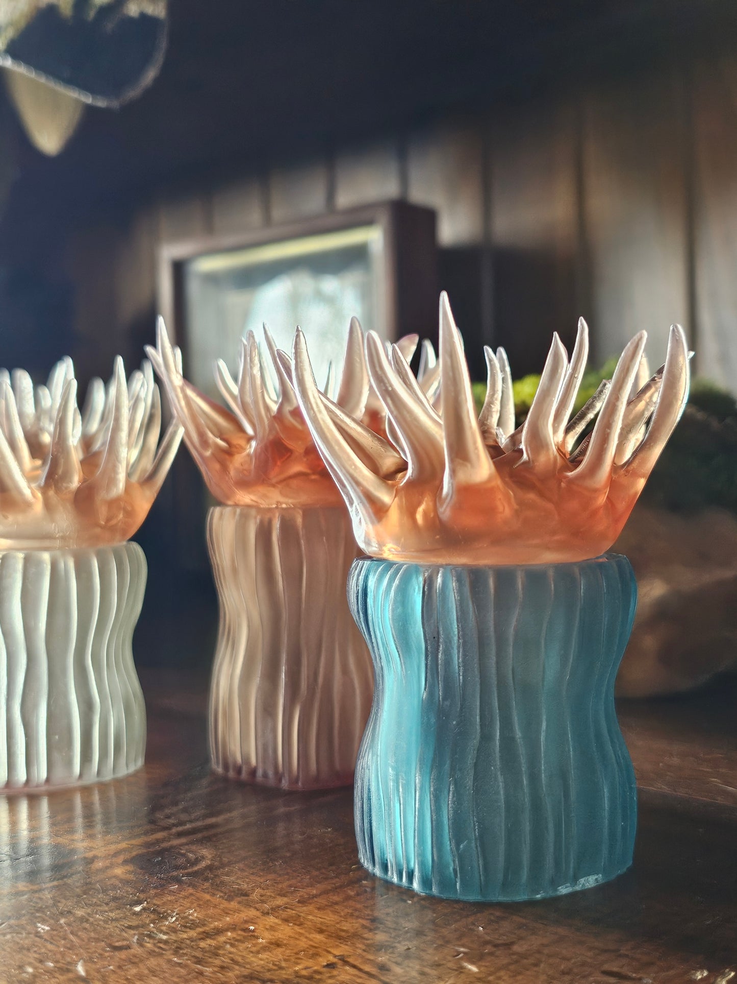 COMING SOON - Sea Anemone pots