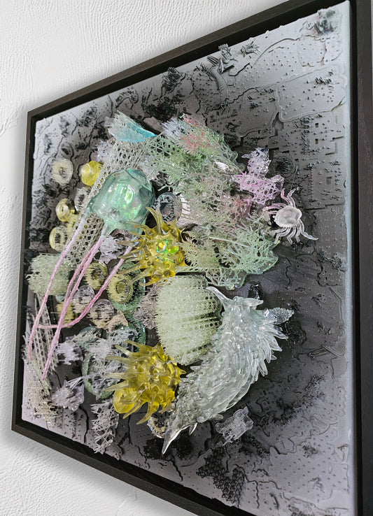 Taxonomies II - Sea Anenome